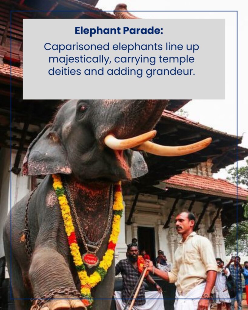 Thrissur Pooram 2025 l History.